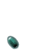 256