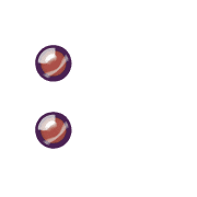 244
