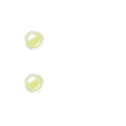 244