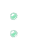 244