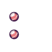 244