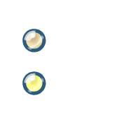 244