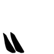 007