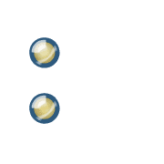 244