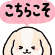 031