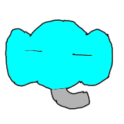 003