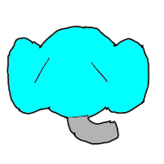 004