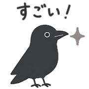 005