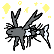 005
