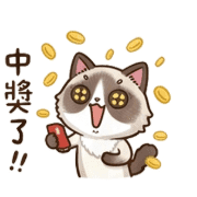 005