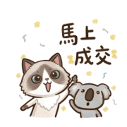 006