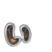 048