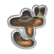061
