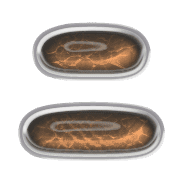 102
