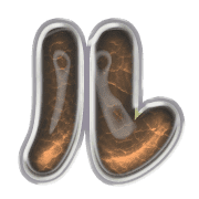 121