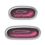 102