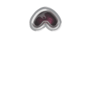 231