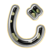 062