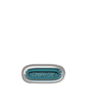 250