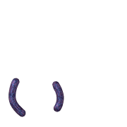 048