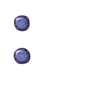 244
