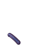 256