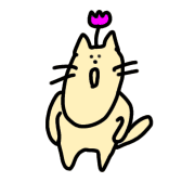005