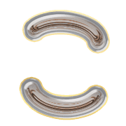 010