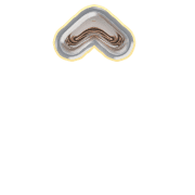 231