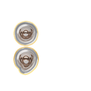 243