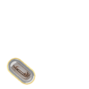 256