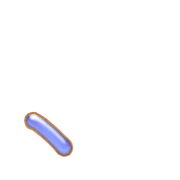256