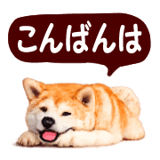003