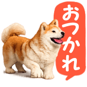 004