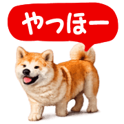 005