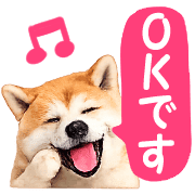006