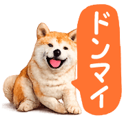 020