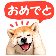 021