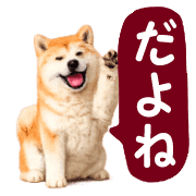030