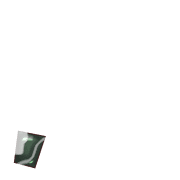 245