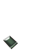 256