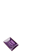 256