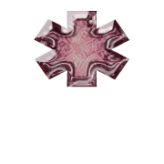 233