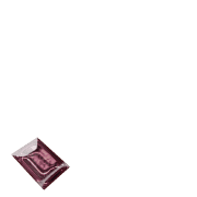 256