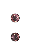 244