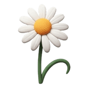 019