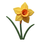 023