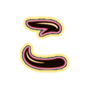 010