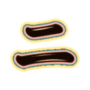 102