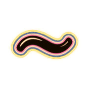 224